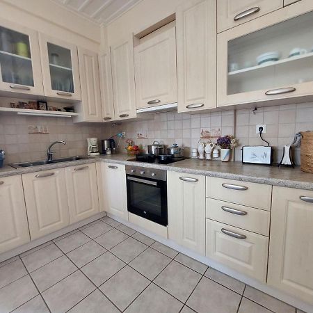 Palaiokrassa Sunny Appartment Mesaria  Dış mekan fotoğraf