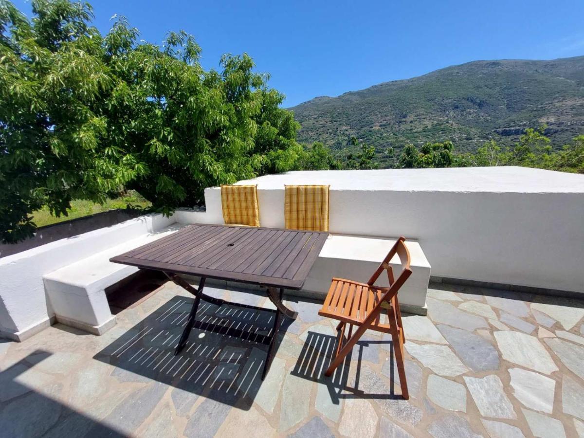 Palaiokrassa Sunny Appartment Mesaria  Dış mekan fotoğraf