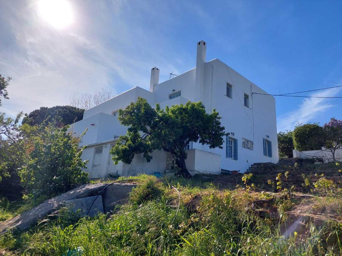 Palaiokrassa Sunny Appartment Mesaria  Dış mekan fotoğraf