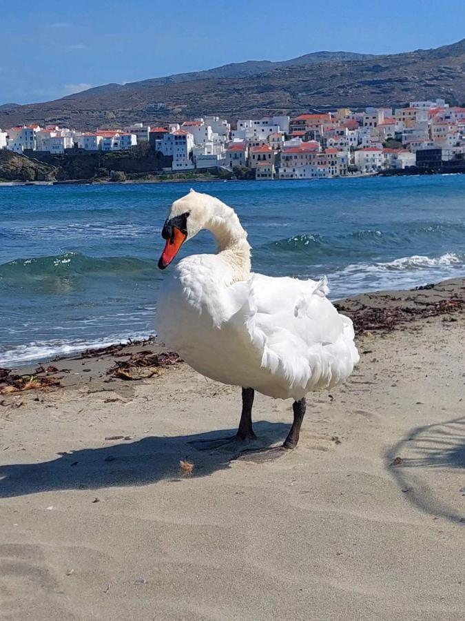 Palaiokrassa Sunny Appartment Mesaria  Dış mekan fotoğraf
